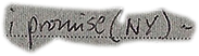 i promise (NY)