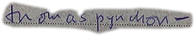 thomas pynchon